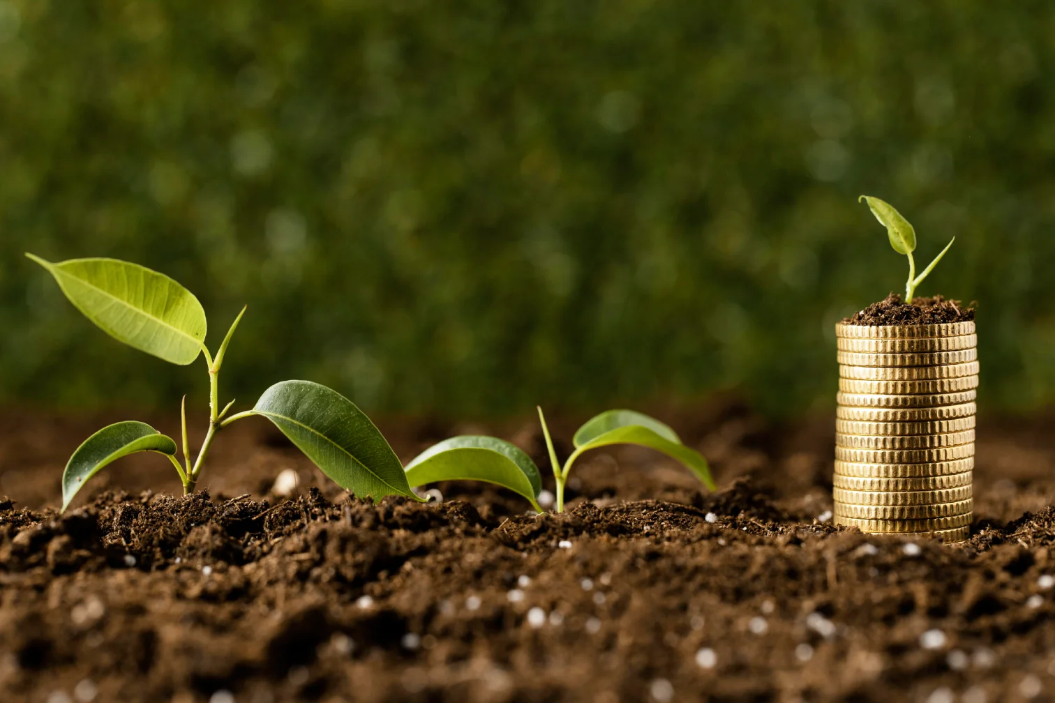 Agriculture Loan Overview
